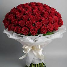 Букет 101 Красная роза Блэк Мэджик в Чернь