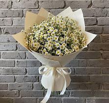 Букет цветов из:  Ромашки в Чернь