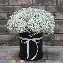 Цветочная композиция из Гипсофила в шляпной коробке в Чернь
